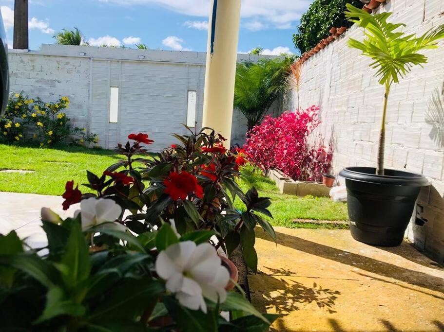 Casa Em Barreirinhas 01 Apartment Exterior photo